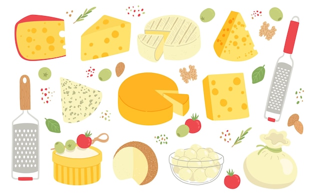 Vector cheese set dairy product and grater flat design vector illustration