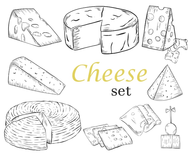 Cheese sketch Different types of cheese Dairy product