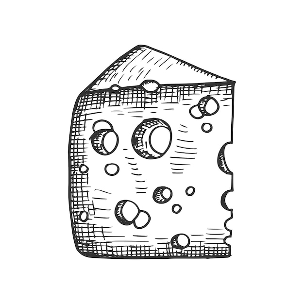 Vettore disegno della mano di vettore del formaggio isolato