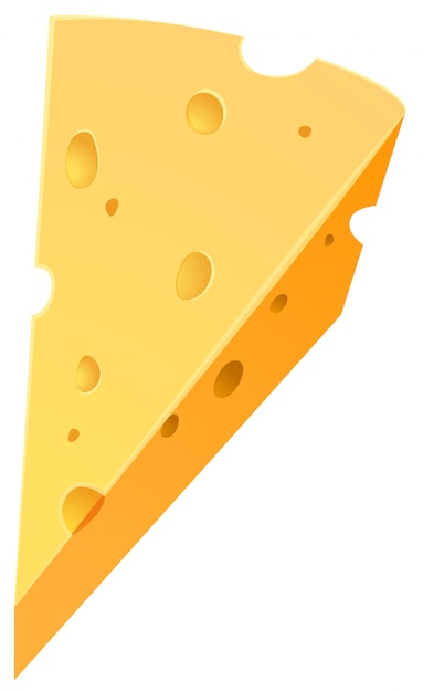 白い背景にチーズ
