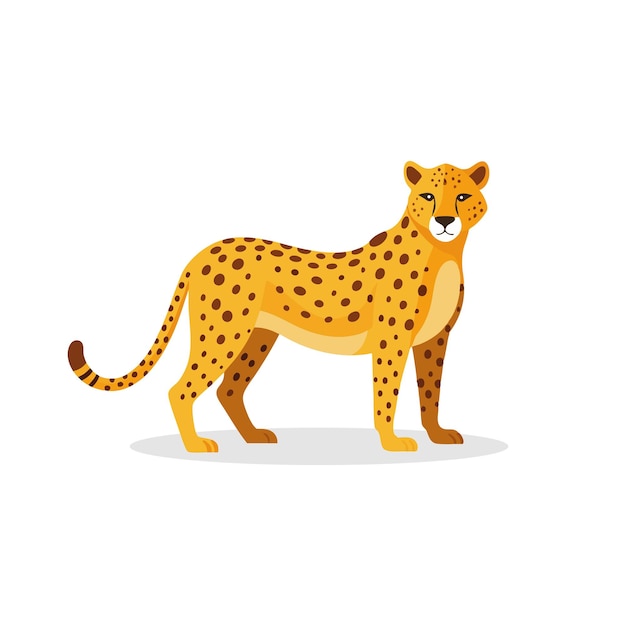 チータ動物の孤立したフラットベクトルイラストが白い背景に描かれています
