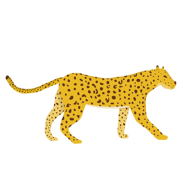 Cheetah in flat style isolated on white background