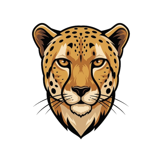 cheetah head