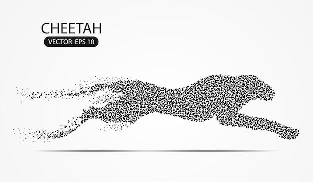 I punti del punto del ghepardo bilancano su fondo grigio con gli effetti di colore nero dei punti.