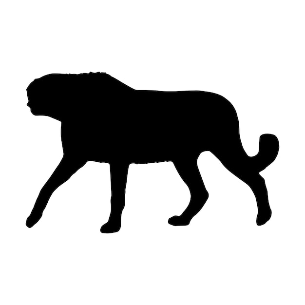 cheetah silhouette vector black color on white background