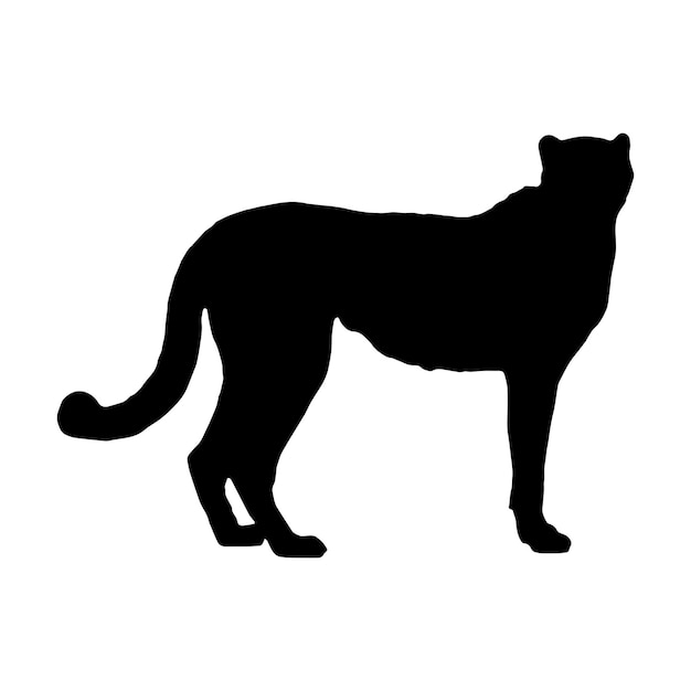 cheetah silhouette vector black color on white background