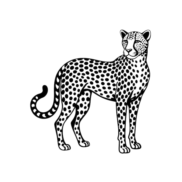 Vector cheetah silhouette vector