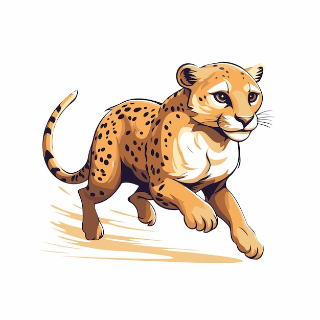 Vector cheetah vector illustratie van een cheetah op witte achtergrond