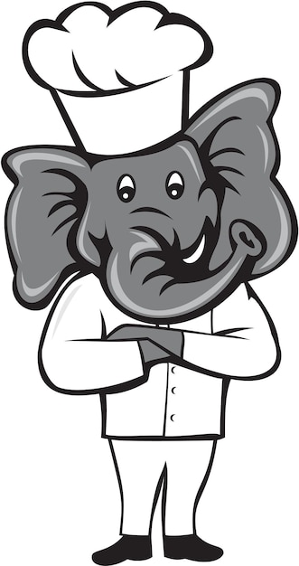 Chef Elephant Arms Crossed Standing Cartoon