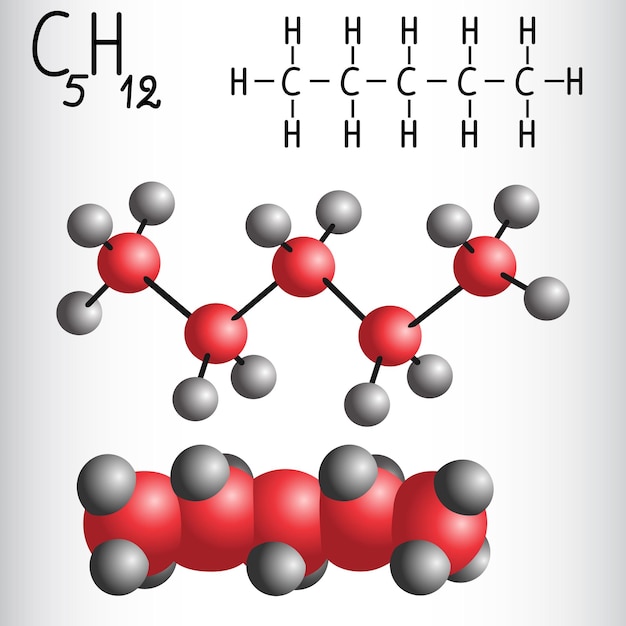 Химическая формула и модель молекулы пентана C5H12. Векторная иллюстрация