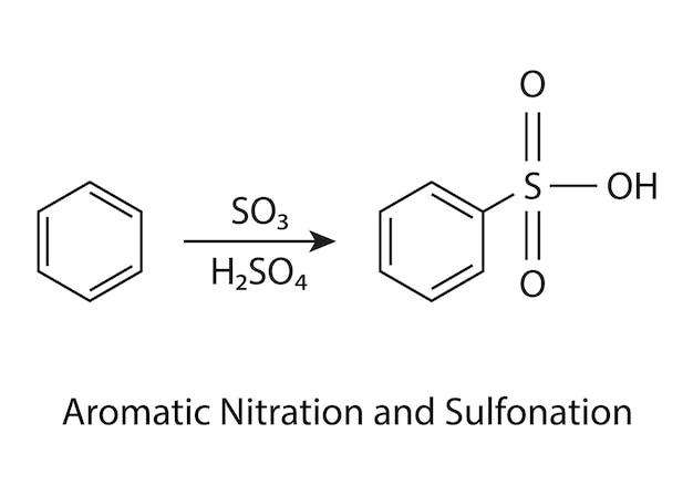Vector chemical formula and structure of aromatic sulfonation organic reaction vector illustration