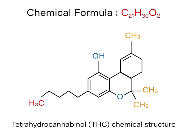Chemical formula Tetrahydrocannabinol chemical molecule skeletal vector illustration