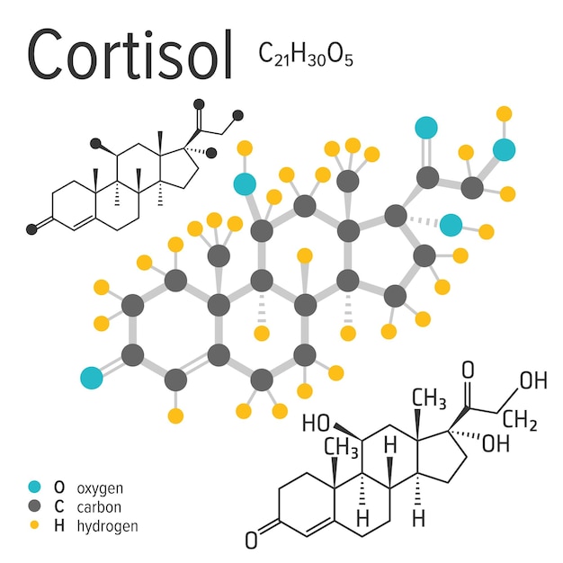 Vettore formula chimica della molecola di cortisolo vettore