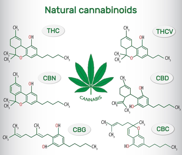 Vector chemical formulas of natural cannabinoids in cannabis