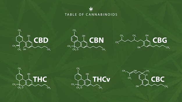 大麻の葉と緑の背景に天然カンナビノイドの化学式