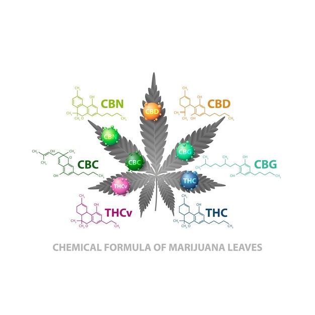 Formule chimiche di cannabinoidi naturali. foglia di cannabis con molecole 3d