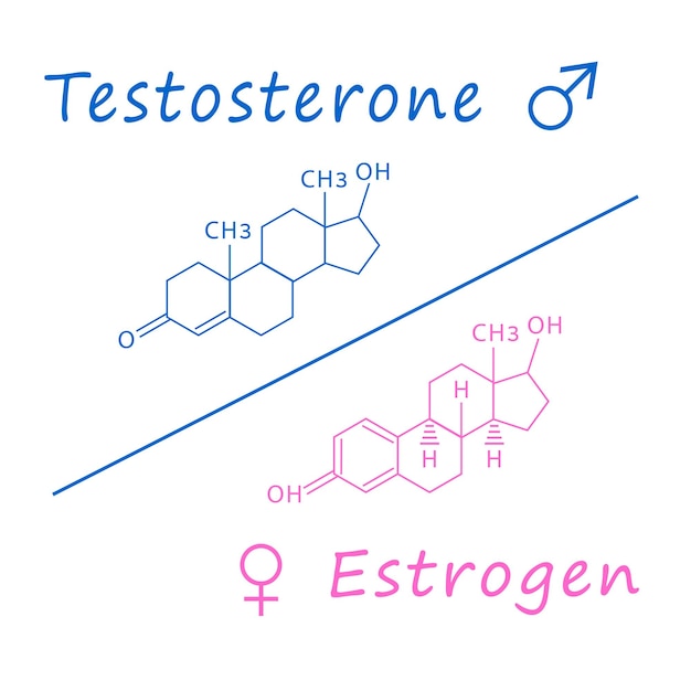 Vector chemical molecular formula hormone testosterone and estrogen. male and female sex hormone.