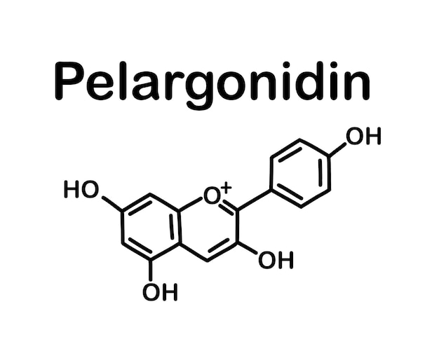 Vector chemical structure of pelargonidin.