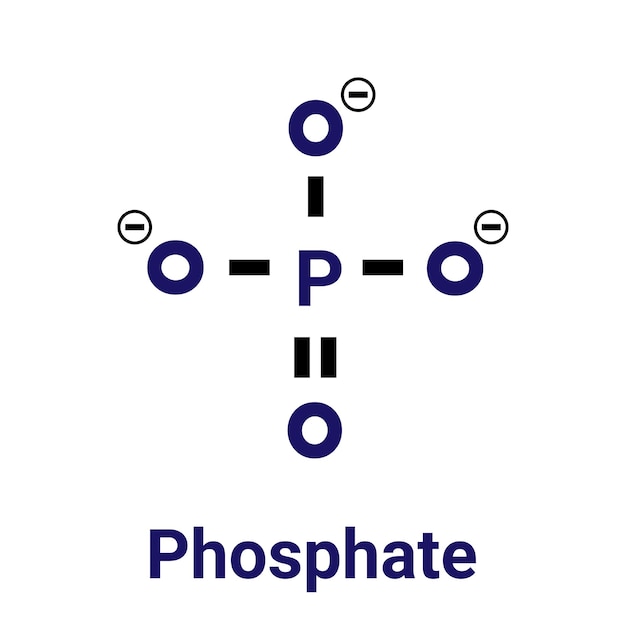 Chemical structure of Phosphate Anion Vector skeletal formula