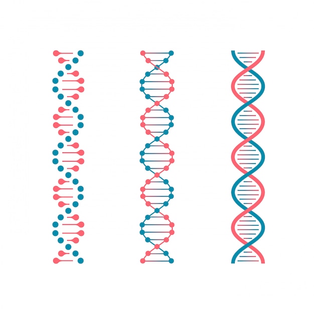 化学コードDNA。人間の分子の二重遺伝コード。バイオテクノロジーの未来