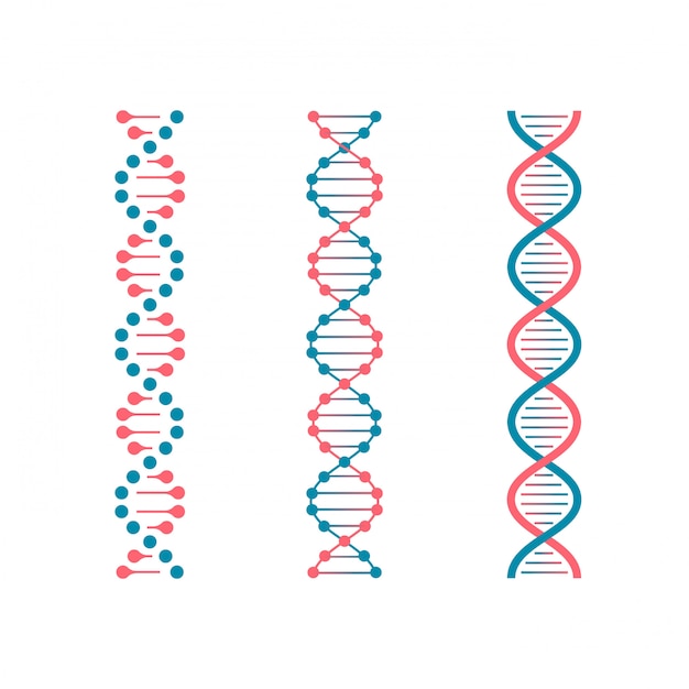 Chemistry code dna. double genetic code of human molecule. biotechnology future