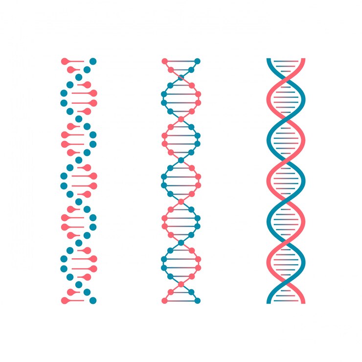 Vector chemistry code dna. double genetic code of human molecule. biotechnology future  