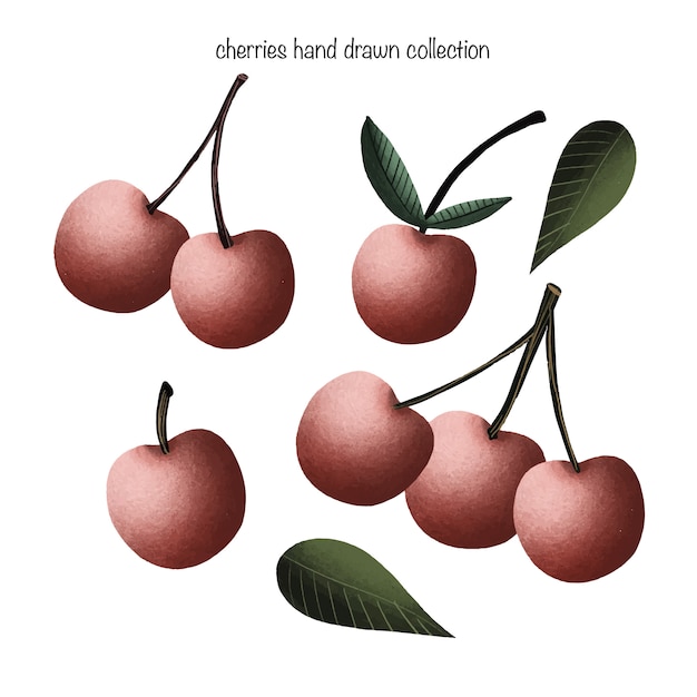 Vector cherries hand drawn collection