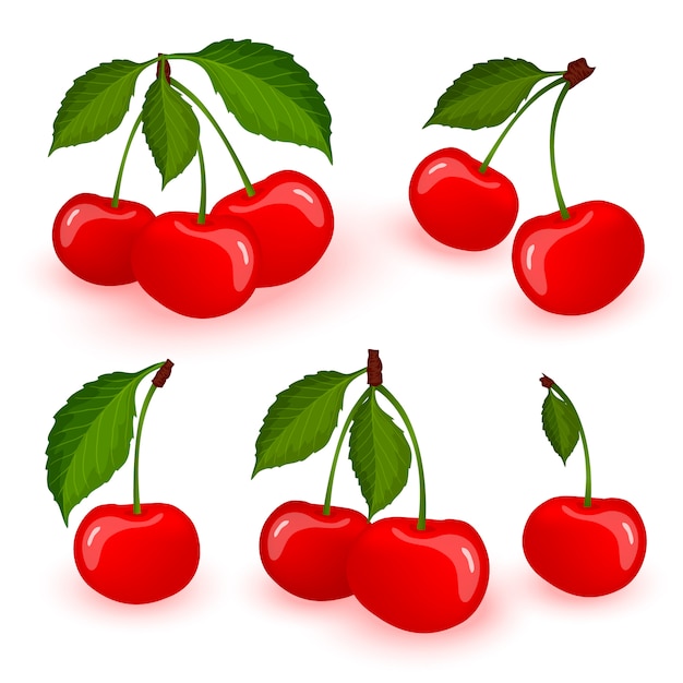 Vector cherry berries set on white background