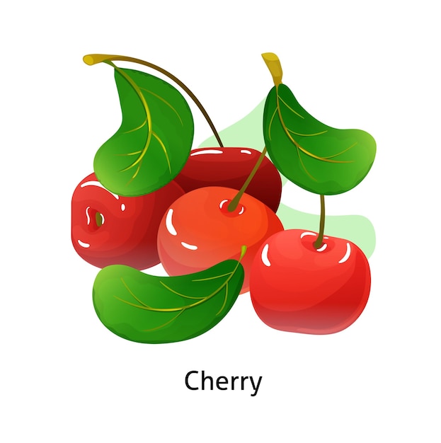 Ягоды вишни с листьями на белом фоне Сочные и свежие ягоды реалистичные лесные мультяшные векторные иллюстрации изолированы для плаката или эмблемы векторная иллюстрация натуральных продуктов