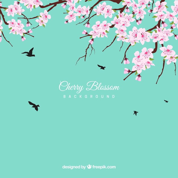 Vector cherry blossom background in flat design