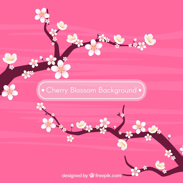 Vector cherry blossom background in flat design