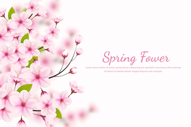 Cherry blossom background with place for text Vector illustration