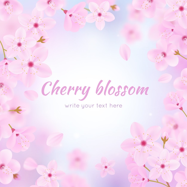 Cherry blossom background