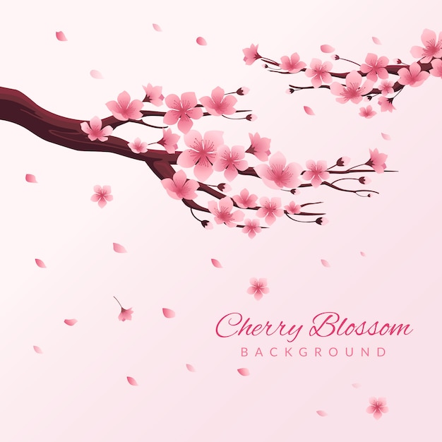 Cherry blossom background