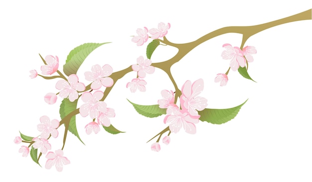 Вектор Векторная иллюстрация цветения сакуры для открытки