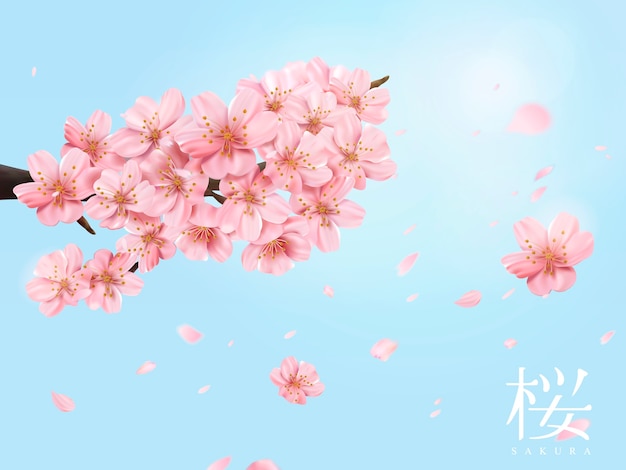 Vector cherry blossom branch and flying flowers  on shiny blue sky in  illustration, cherry blossom in japanese word on the right side