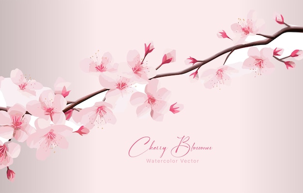 Vettore illustrazione dell'acquerello del ramo di cherry blossom