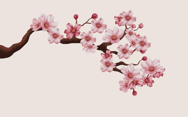 cherry blossom branch with sakura flower. sakura white background. watercolor cherry bud