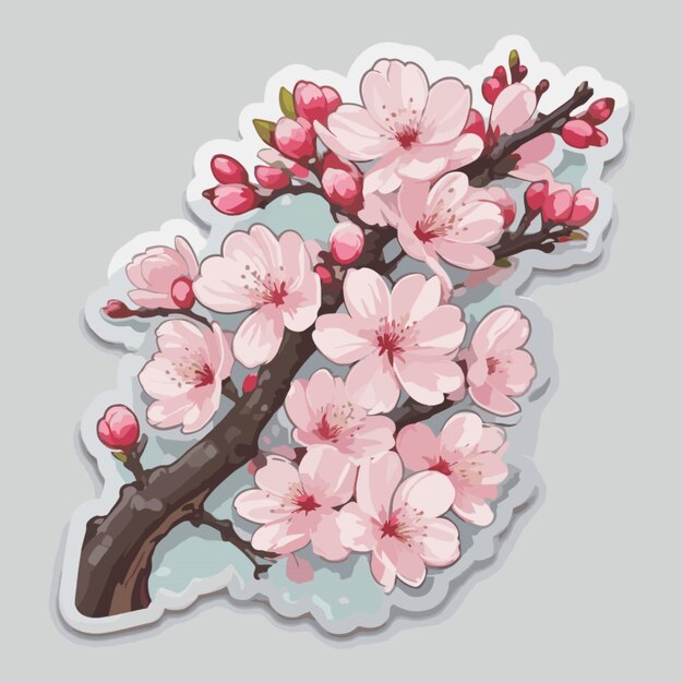 Vector cherry blossom cartoon vector