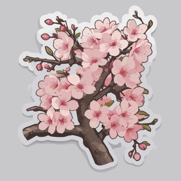 Vector cherry blossom cartoon vector