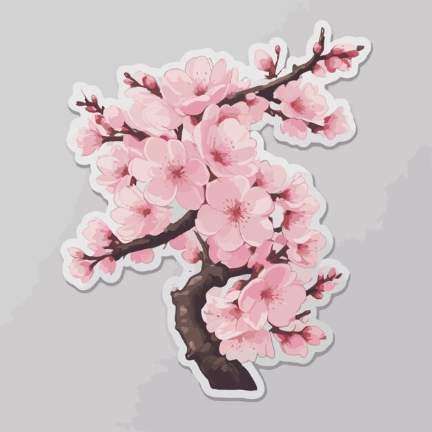 Vector cherry blossom cartoon vector