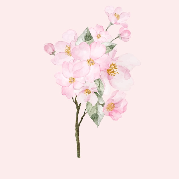 Vector cherry blossom flower bouquet