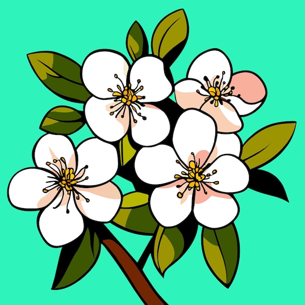 Vector cherry blossom flower flower with green leaves