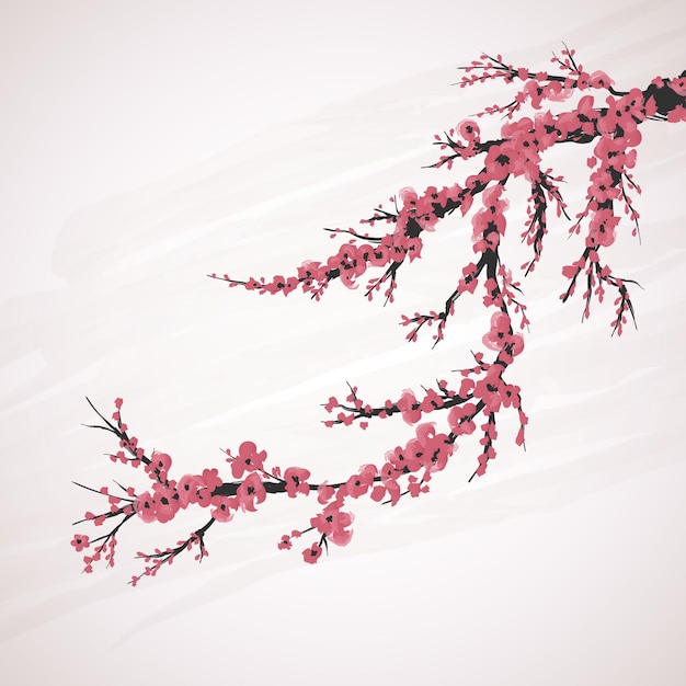 Cherry Blossom Flower Red Pink Japanesse Background