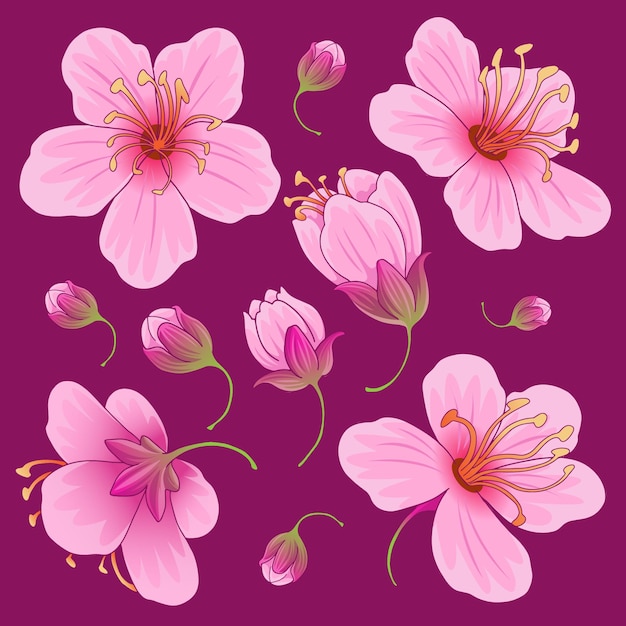 Vector cherry blossom flowers