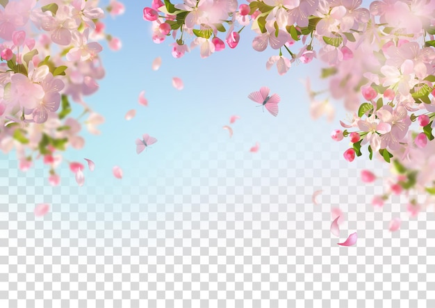 Vector cherry blossom and flying petals on spring background