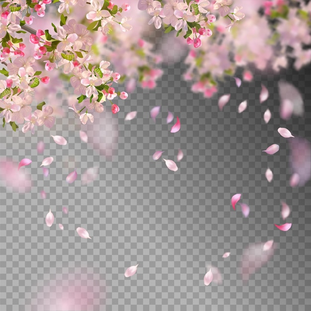 Vector cherry blossom and flying petals on spring background