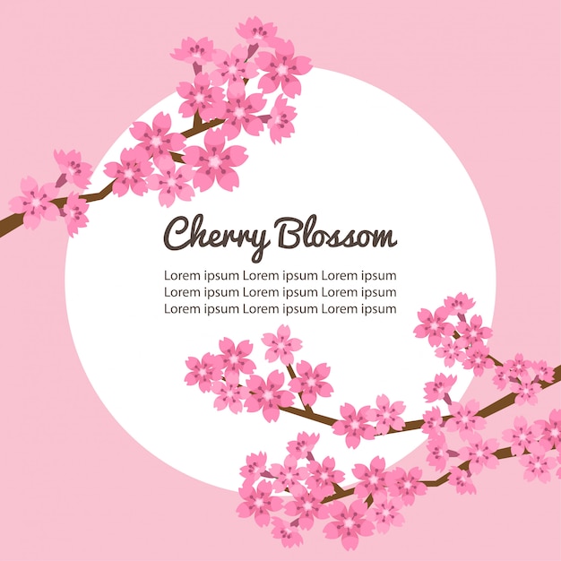 Vector cherry blossom frame