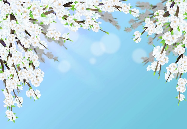 Cherry blossom illustration in full bloom with sunshine and sky blue background.