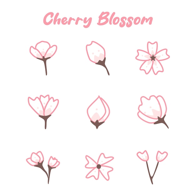 Cherry Blossom Illustration Handrawn